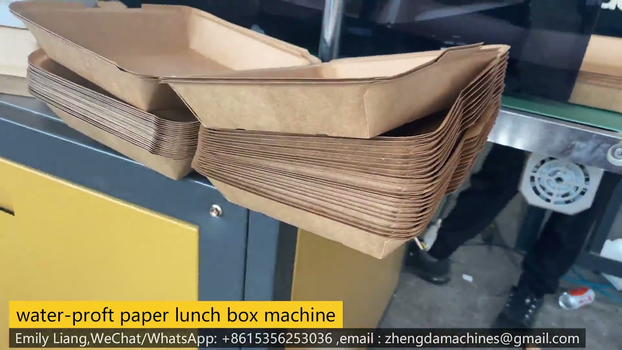 Best paper lunch box machine manufacturer in China food paper box tray forming machine To Colombia