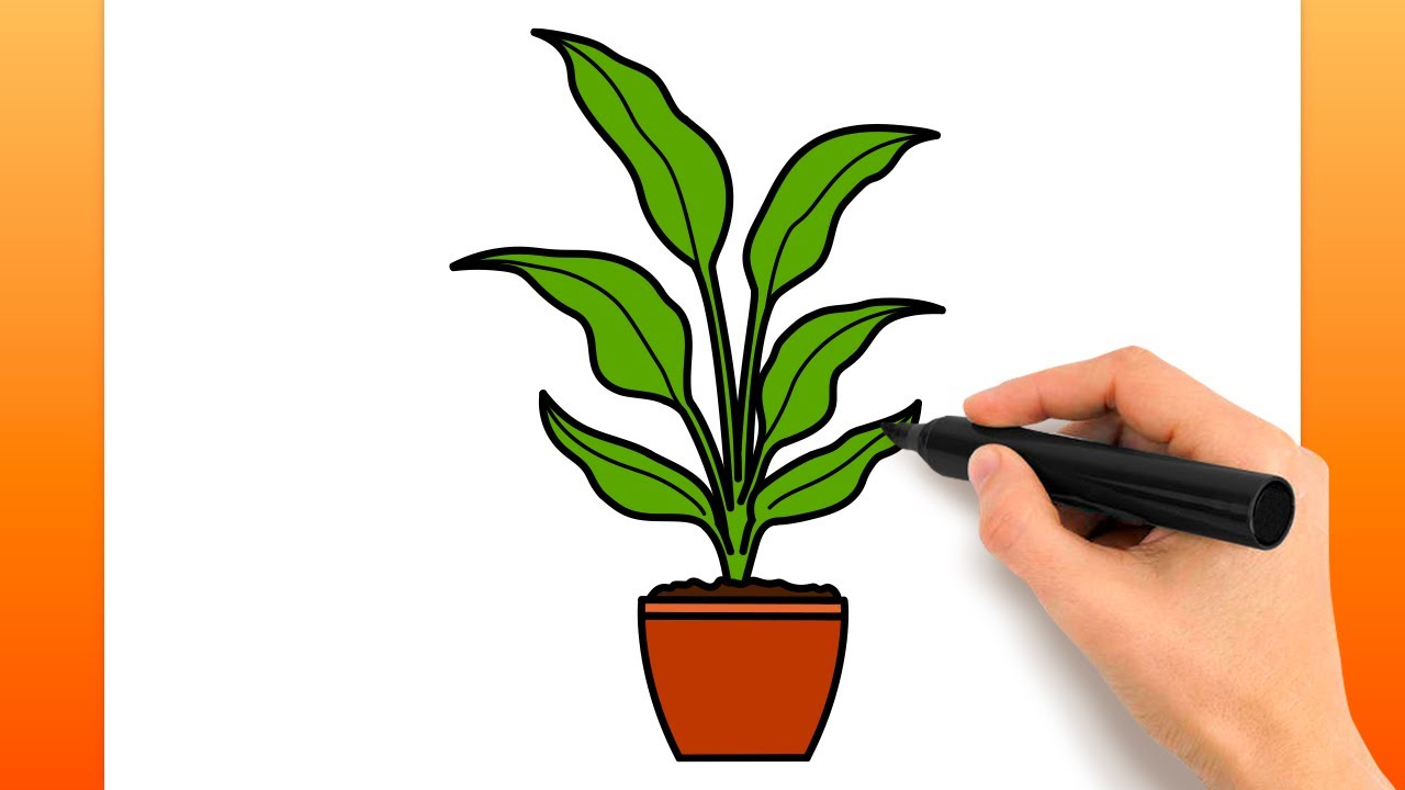 Comment Dessiner Une Plante En Pot (Tutoriel De Dessin Facile)