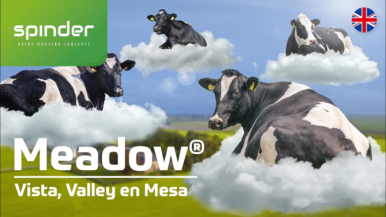 New Meadow® Vista, Meadow® Valley & Meadow® Mesa cow mattress from Spinder - Promotion video English
