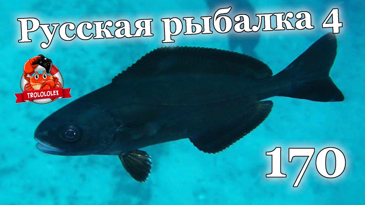 Русская рыбалка 4 Норвежское море170 яма