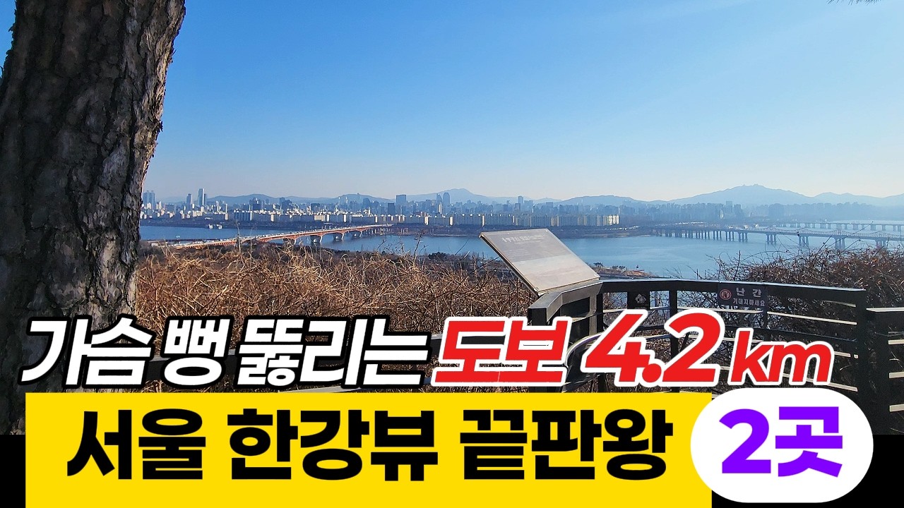 서울 최고 한강전망길 4.2km 걷기 | 응봉산 전망대에서 달맞이봉까지