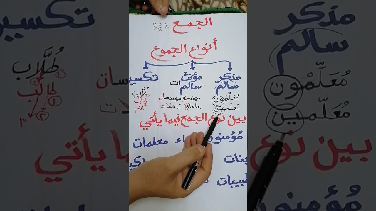 أنواع الجموع