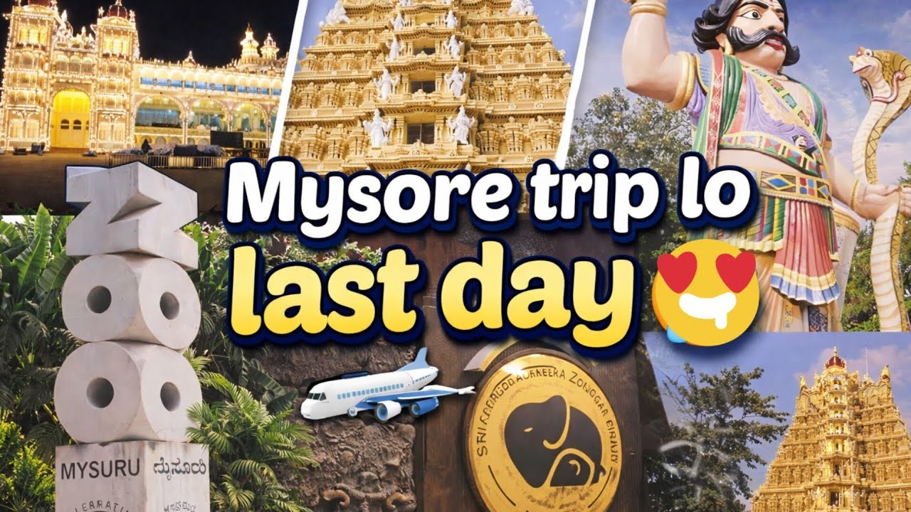 Mysore trip lo last day 😍 #dkvlogs2709 #videos #travel  #mysore #zoo #trending #chamundeshwari 