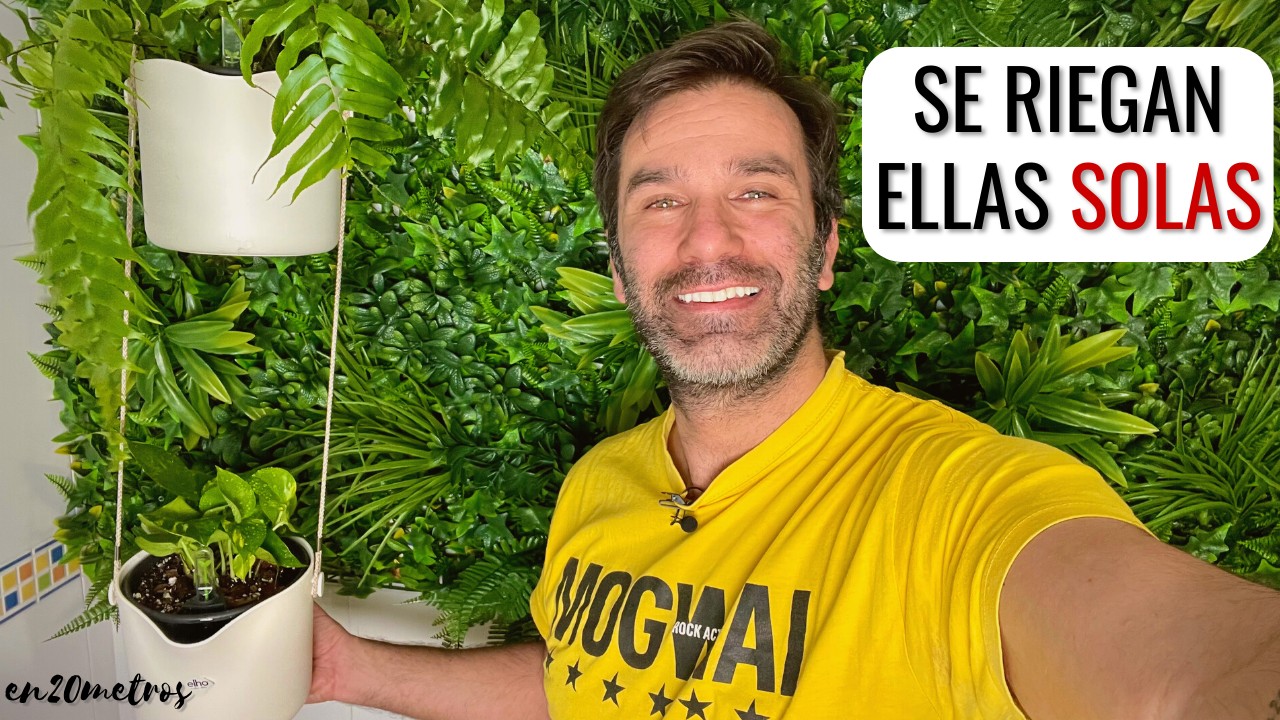 Cómo USAR MACETAS DE AUTO RIEGO: plantar un POTHOS en MACETA COLGANTE || en20metros