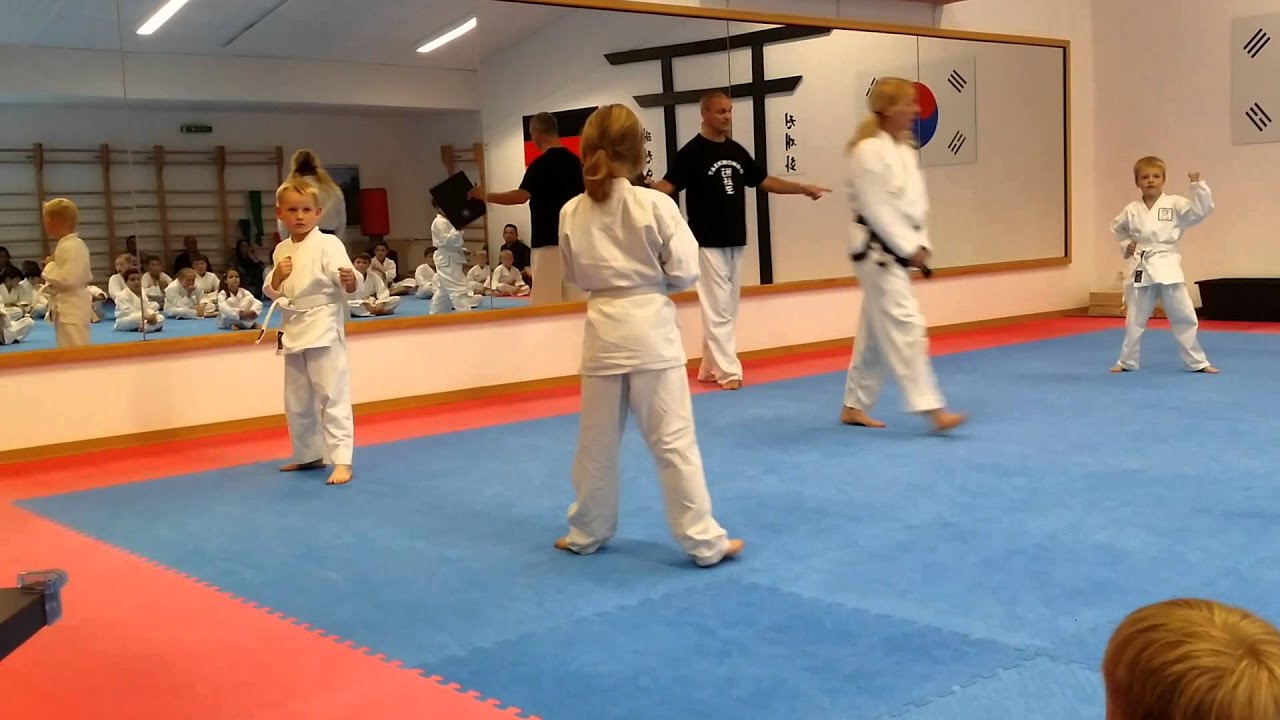 9 Kup Prüfung