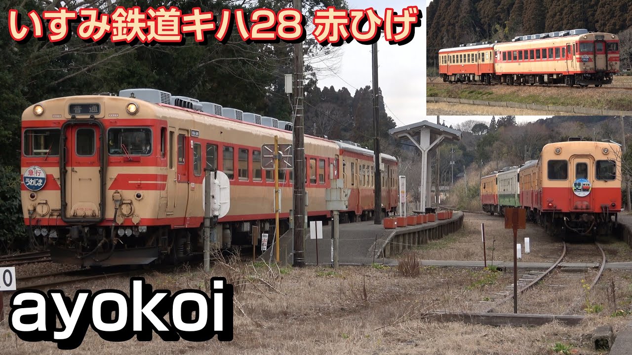 さよなら いすみ鉄道キハ28 四国ヘッドマーク+赤ひげ塗装