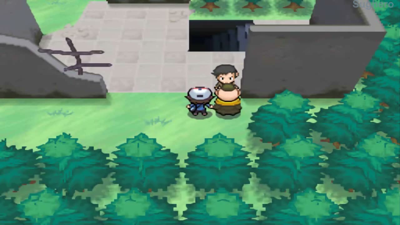 Pokémon Nero [ITA] 21 - Dove Trovare i 6 Saggi