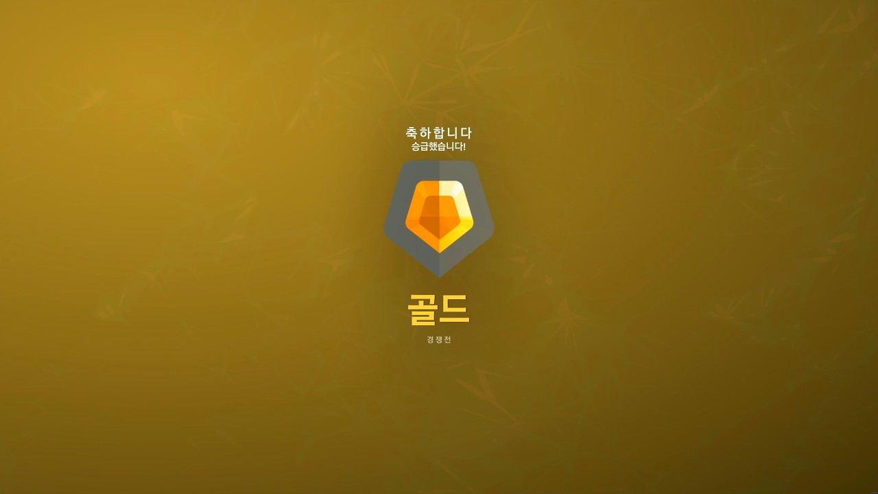 골드 1짱 체임버