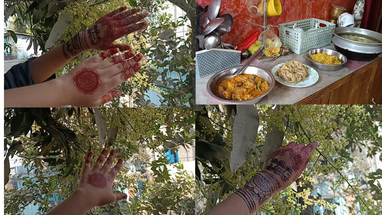 আমার খুব সাধারন জীবন যাপন ||daily routine ||