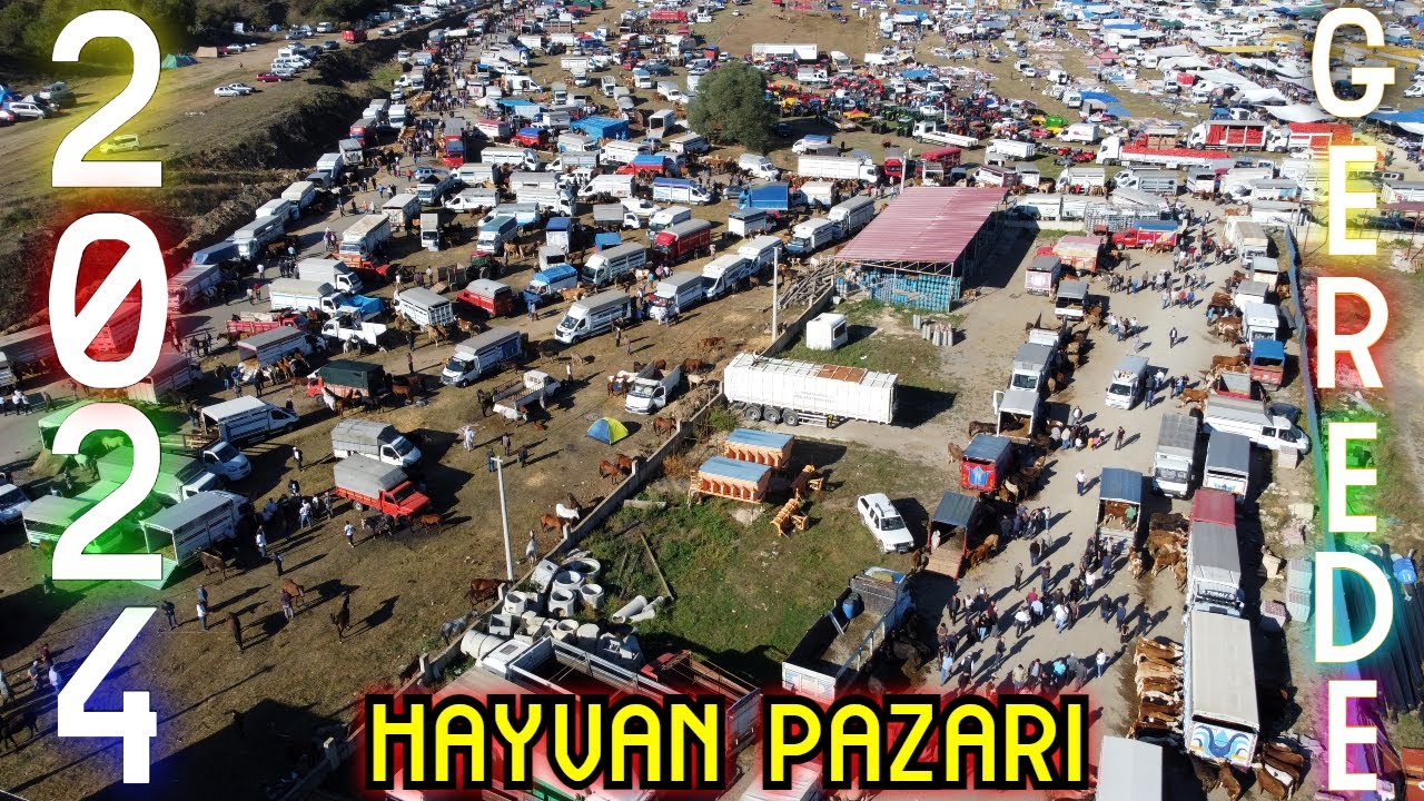 Gerede Panayırı Hayvan Pazarı 2024 (2.BÖLÜM)