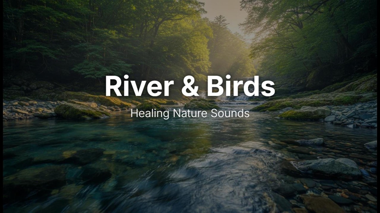 Healing Nature Sounds: River & Birds | 脳を浄化する自然音・1/fゆらぎ