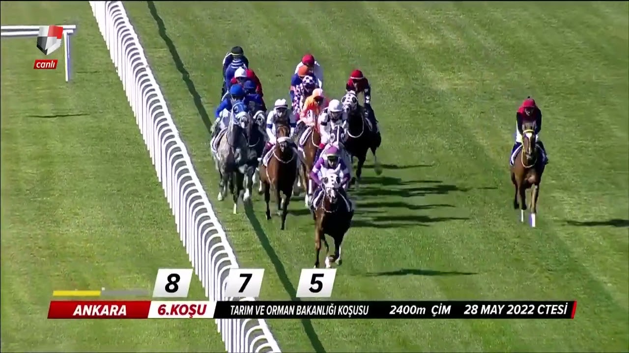 Tarım ve Orman Bakanlığı Koşusu (Grup - 1) 28/05/2022