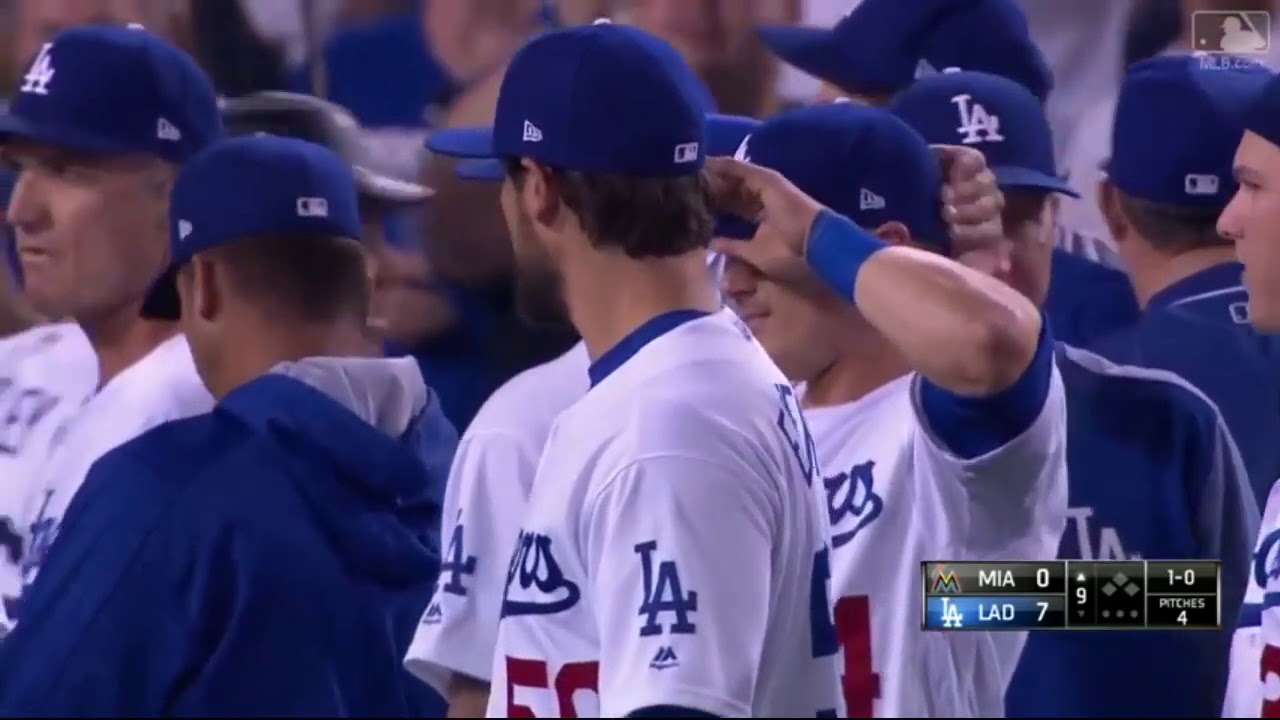 MLB BASEBALL FIGHTS OF 2017 ᴴᴰ {UPDATED 7 3}