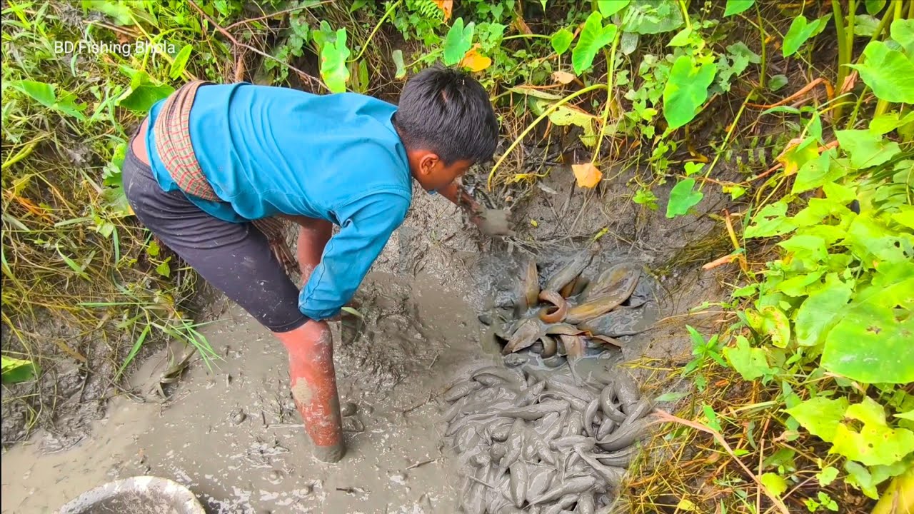 Really Unique Fishing Jungle Side Small Pond Country Fish Catching |জঙ্গলের পাশে ডোবায় মাছ ধরা
