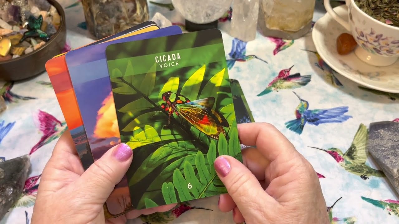 Oracle Card Deck Flip Through of Messages from the Spirits of Nature Oracle by Steven D. Farmer