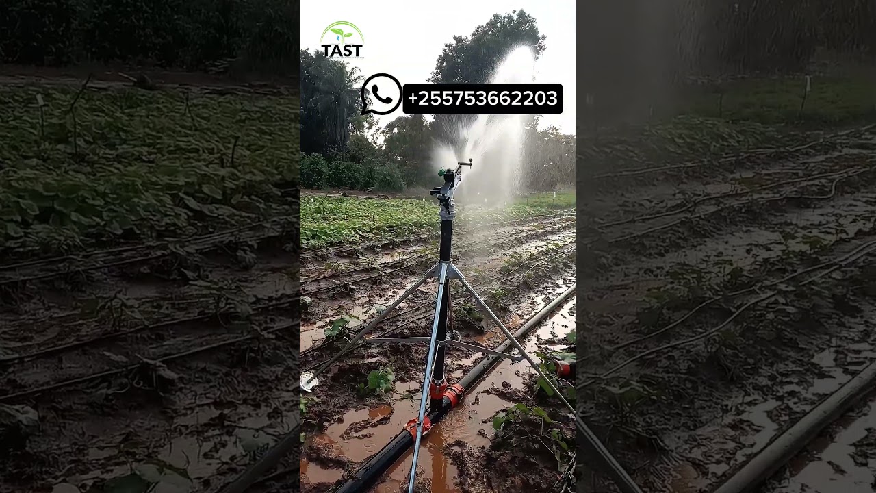 automatic watering system for plants _yuzuak atom 35 rain gun sprinkler irrigation#agro #agriculture