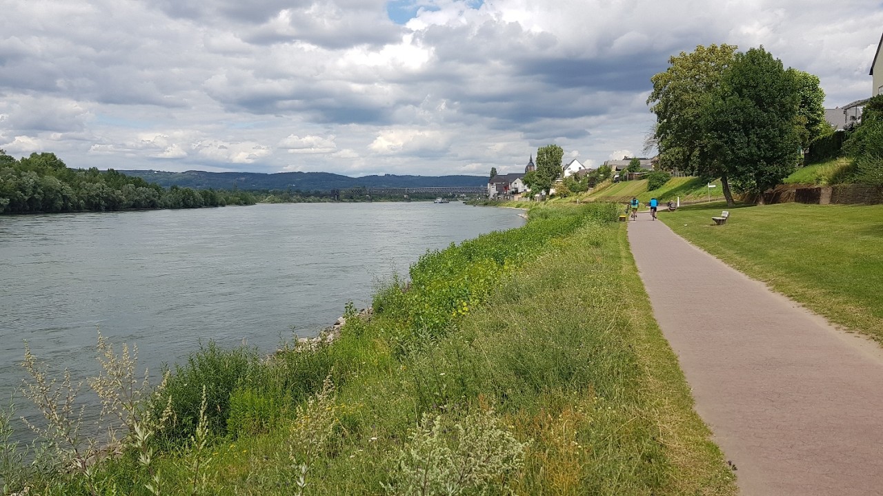 Auf dem Rheinradweg von Andernach nach Koblenz am Rhein entlang  Weißenthurm Urmitz Engers Vallendar