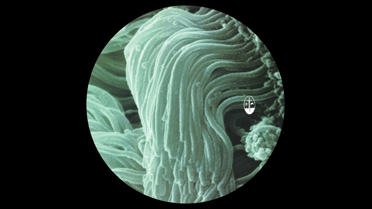 Anthony Linell - Illusion Self [NE93]
