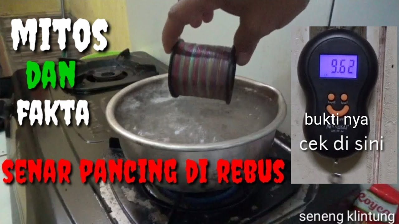 fakta senar pancing di rebus
