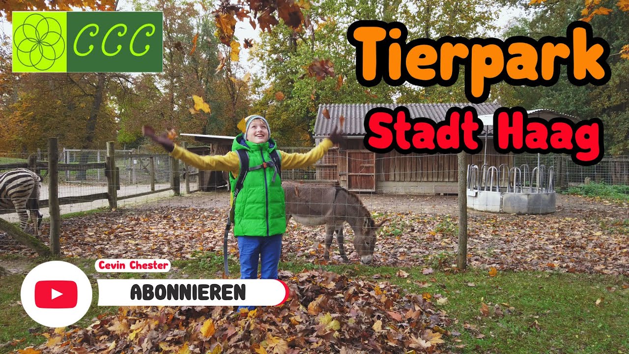 [CCC]🦓Tierpark | Haag | Niederösterreich | Ausflug
