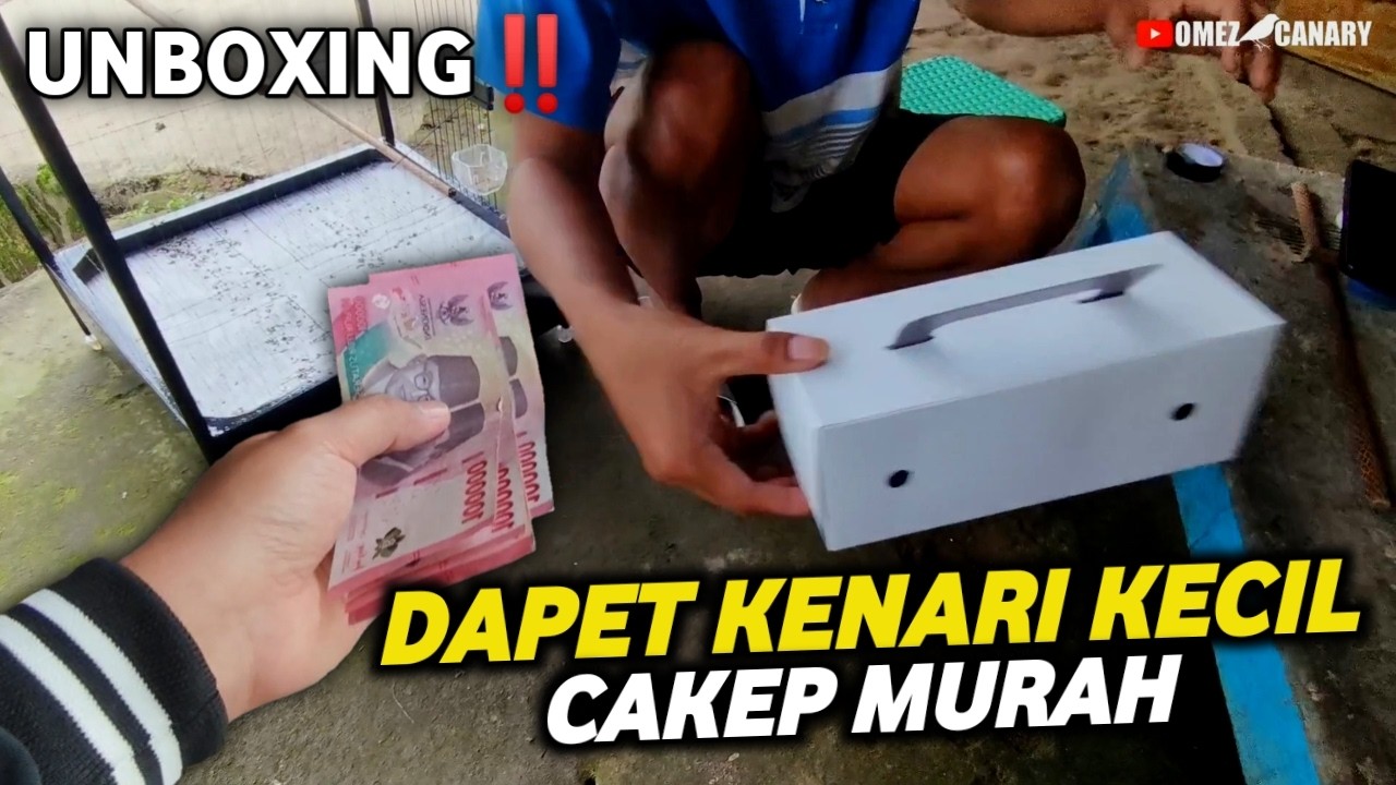 UNBOXING‼️BERBURU KENARI KE PELOSOK DESA DAPET 600RB KAYAK GINI BURUNGNYA