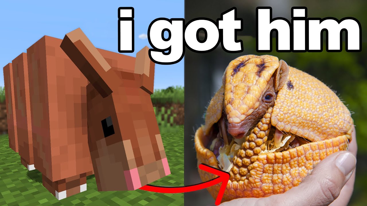 Я подарил своему брату броненосца из Minecraft в реальной жизни