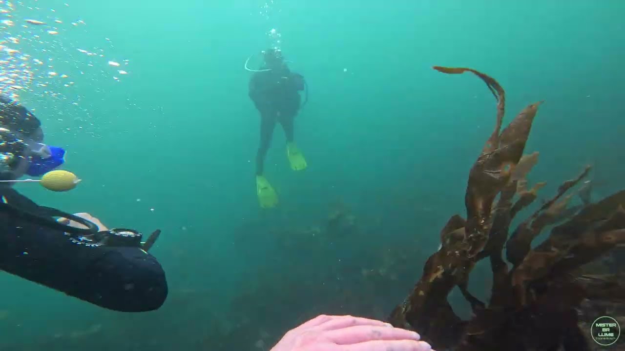 Explo digue sud 29 11 25