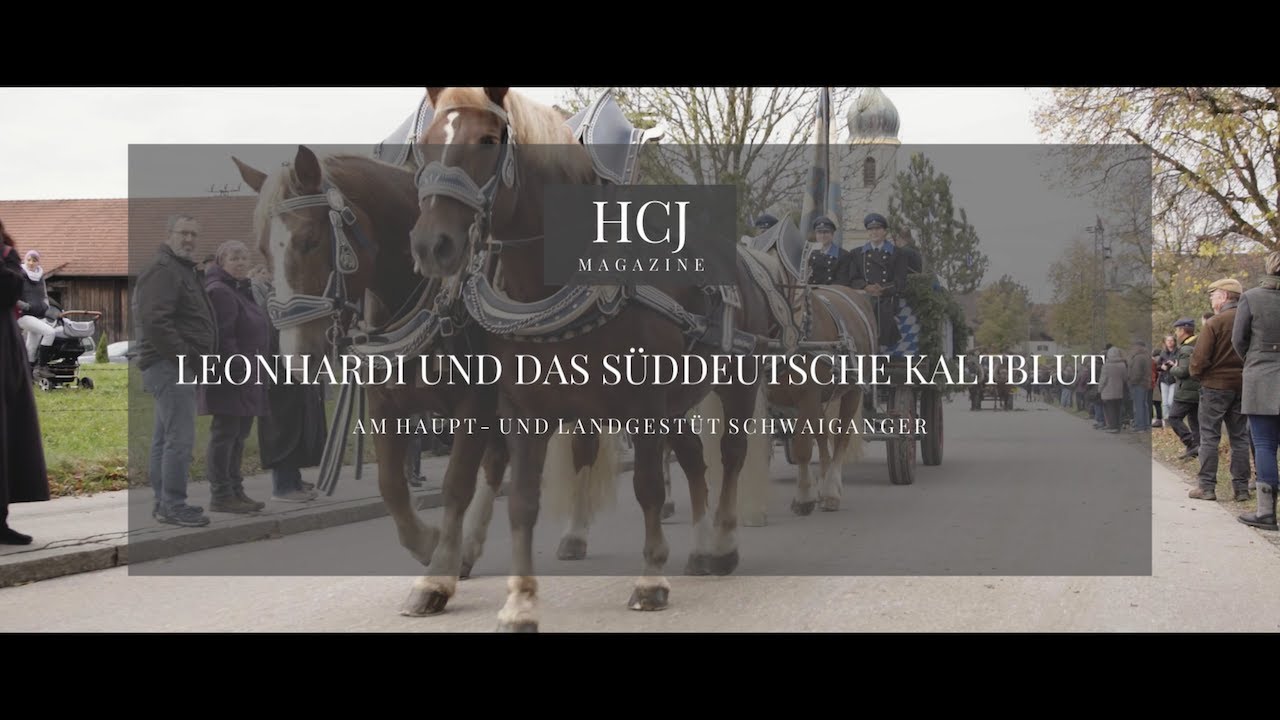 Leonhardi und das Süddeutsche Kaltblut - Haupt- und Landgestüt Schwaiganger