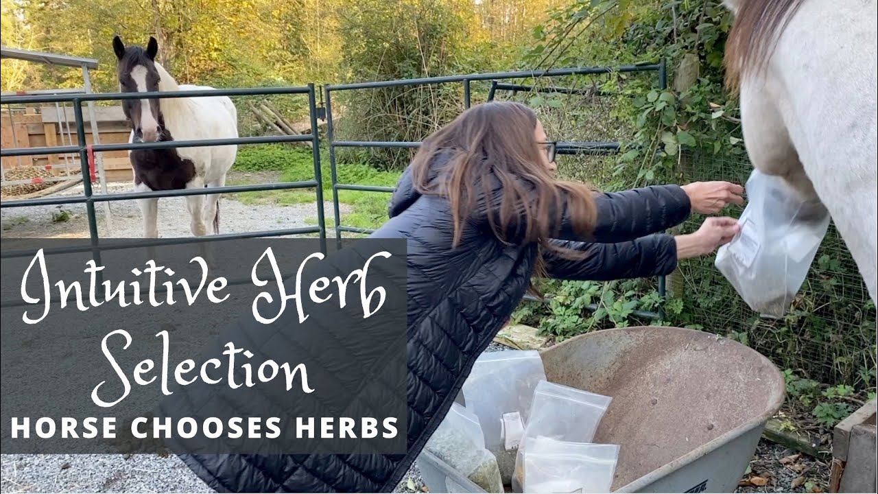 Let Your Horse Self-Select Their Herbs - Part 1
