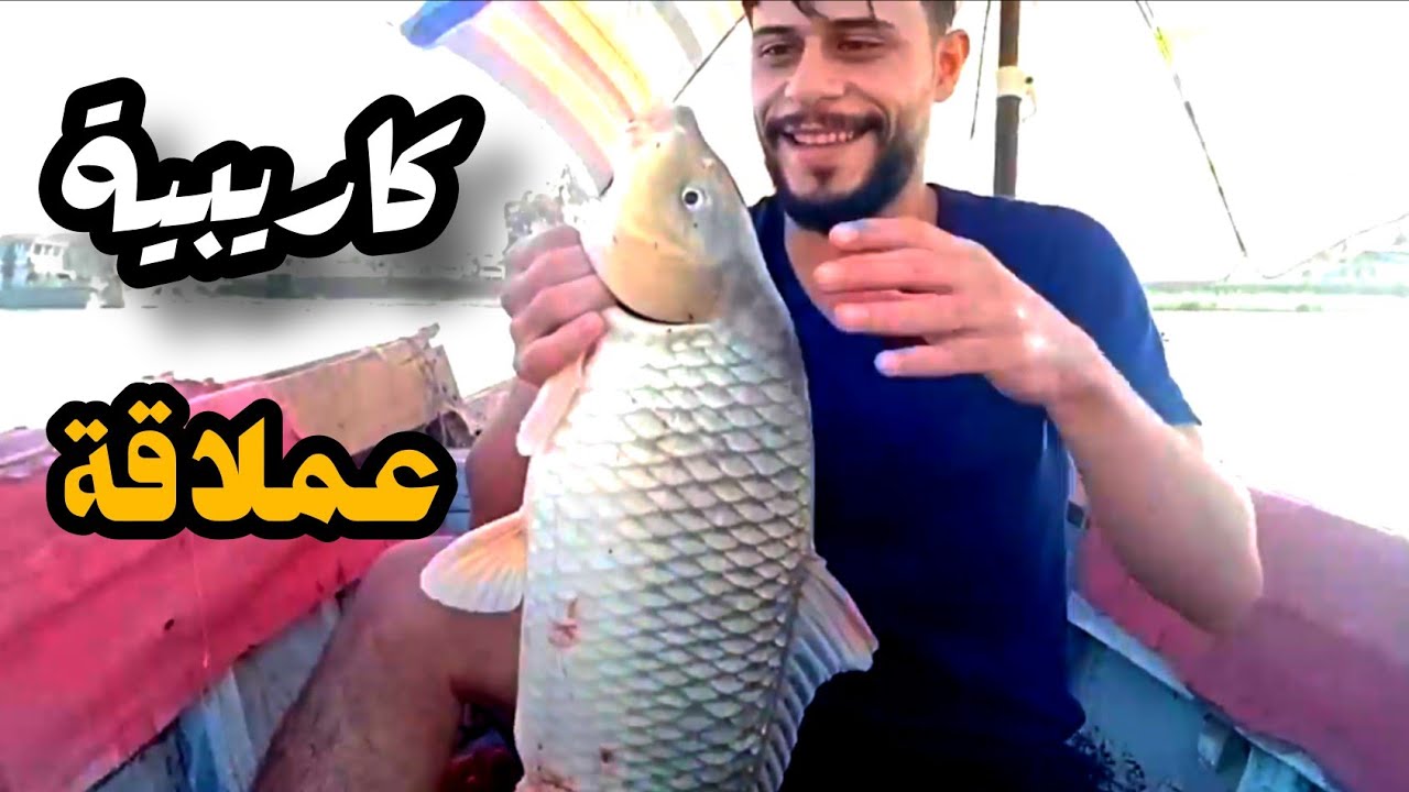 صيد الليل قيملي هذا الوحش شكد وزنه