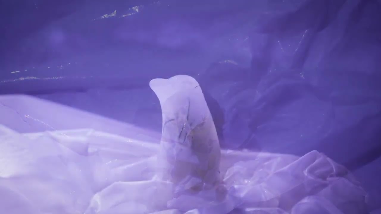 눈;물 ( snow turns to tears )