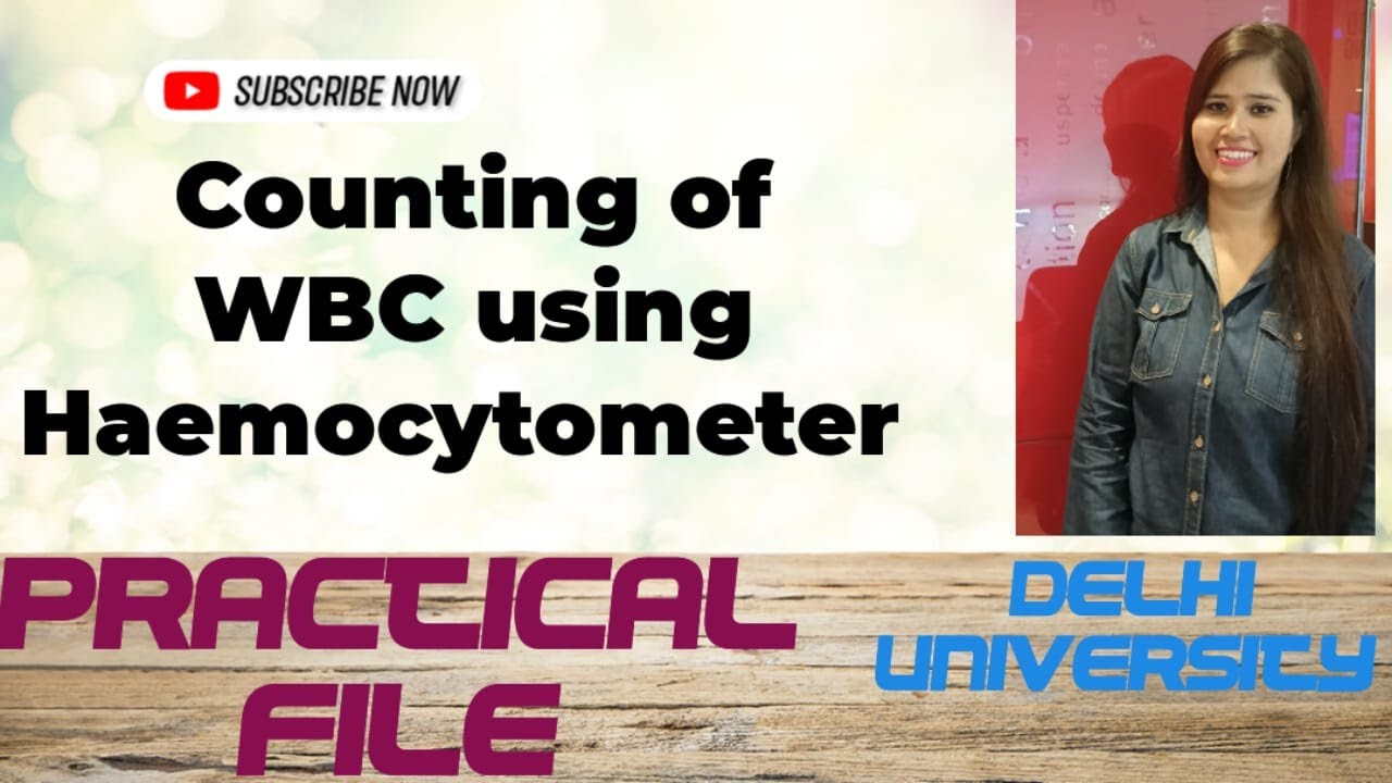 Counting Of WBC Using Haemocytometer 