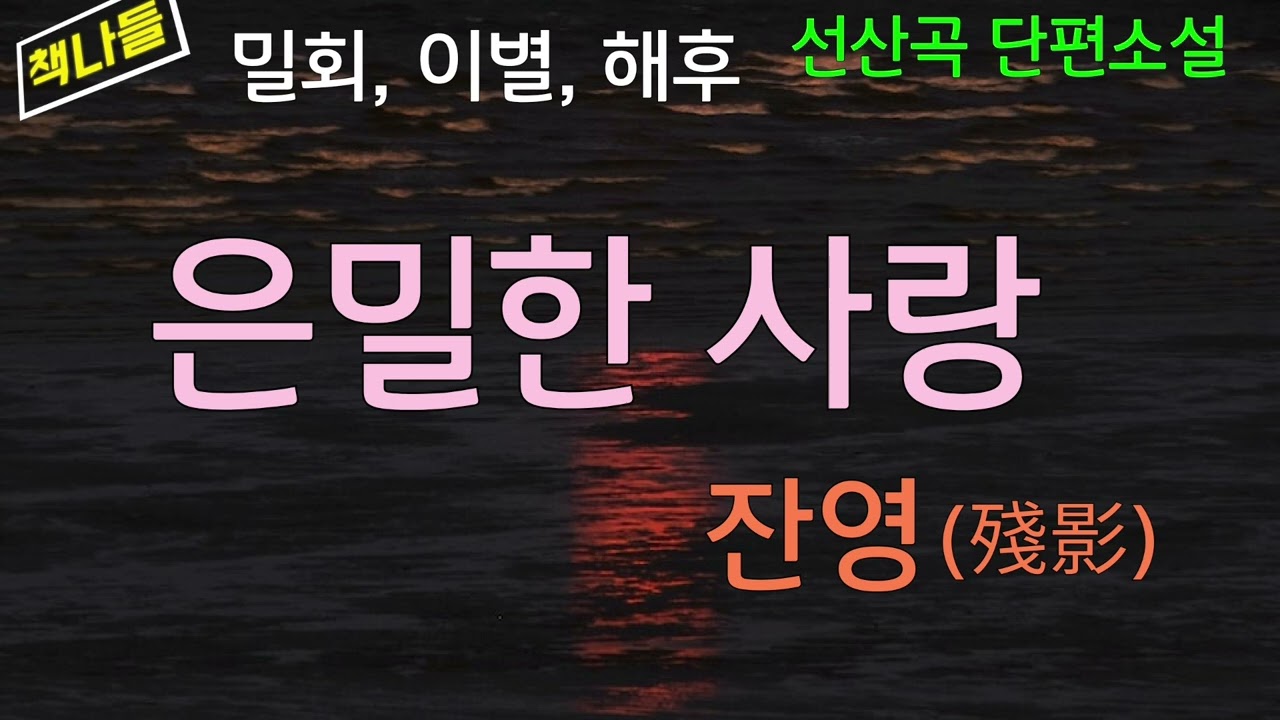 사랑의 감정에 취해보고 싶을 때 읽는 소설!/ 절제된 문장 속에 느껴지는 사랑의 슬픔! / 잔영 /선산곡
