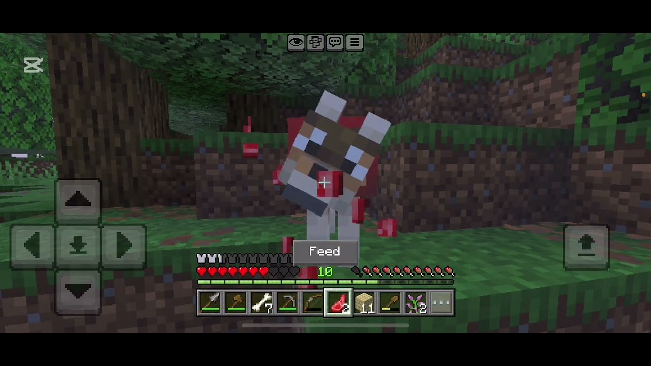 مين كرفت رمضان 