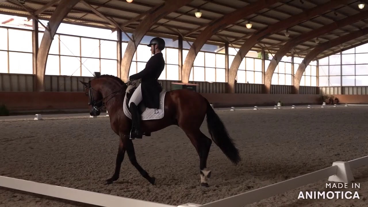 Ricardo Vinhas Reis / Escorial Agosto 2020