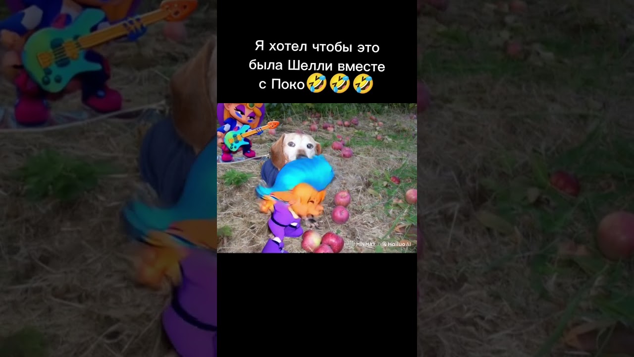 🤣🤣🤣 