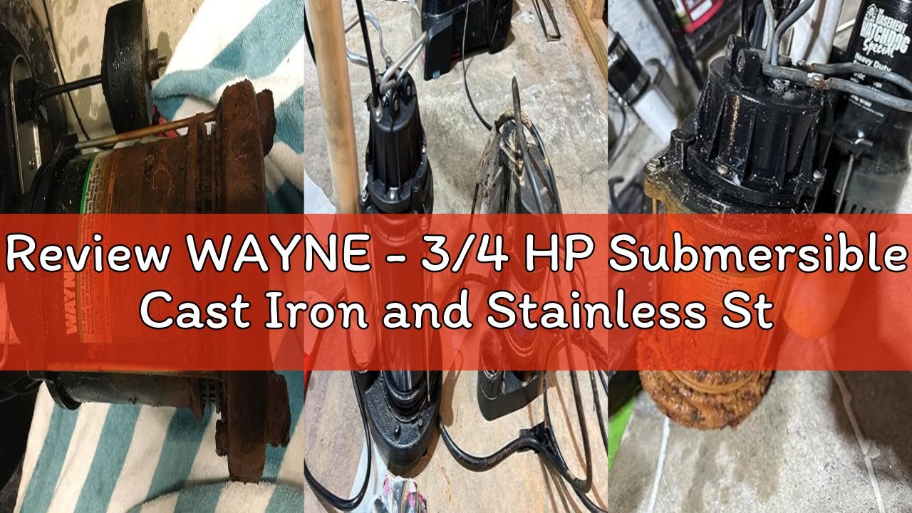 Review WAYNE - 3/4 HP Submersible Cast Iron and Stainless Steel Sump Pump with Integrated Vertical F