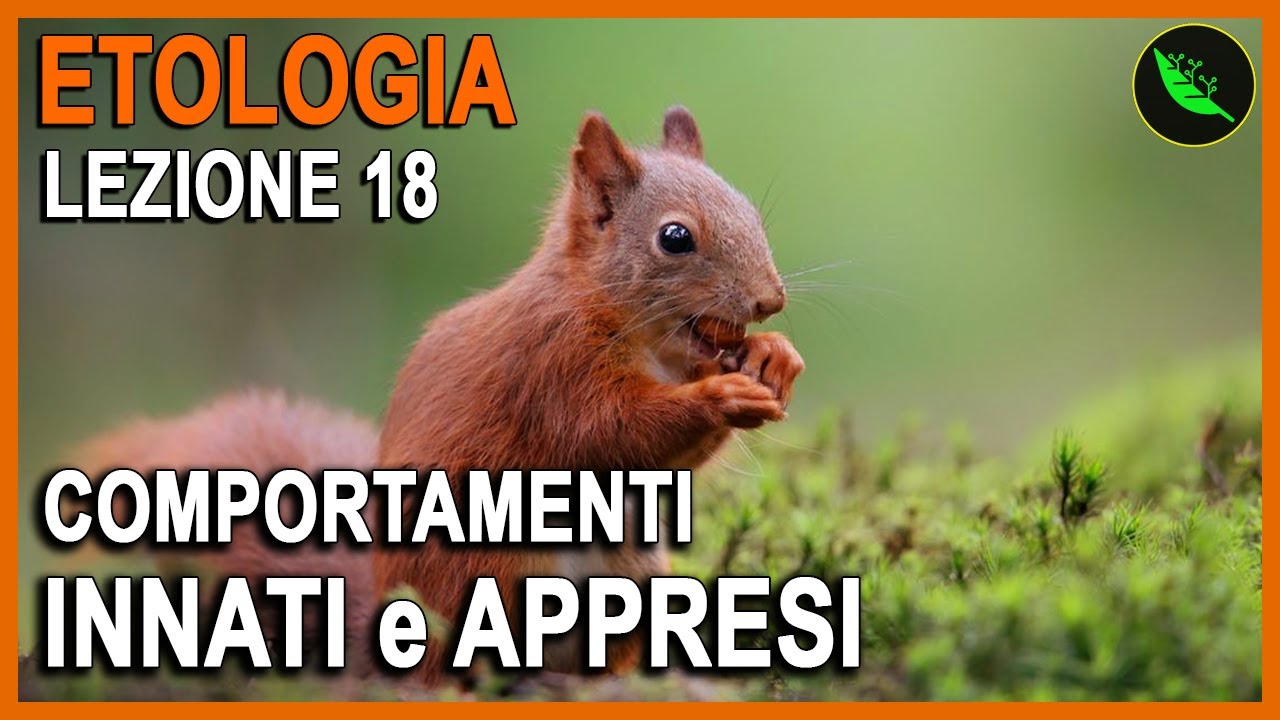 COMPORTAMENTI INNATI  -Etologia Lezione 18