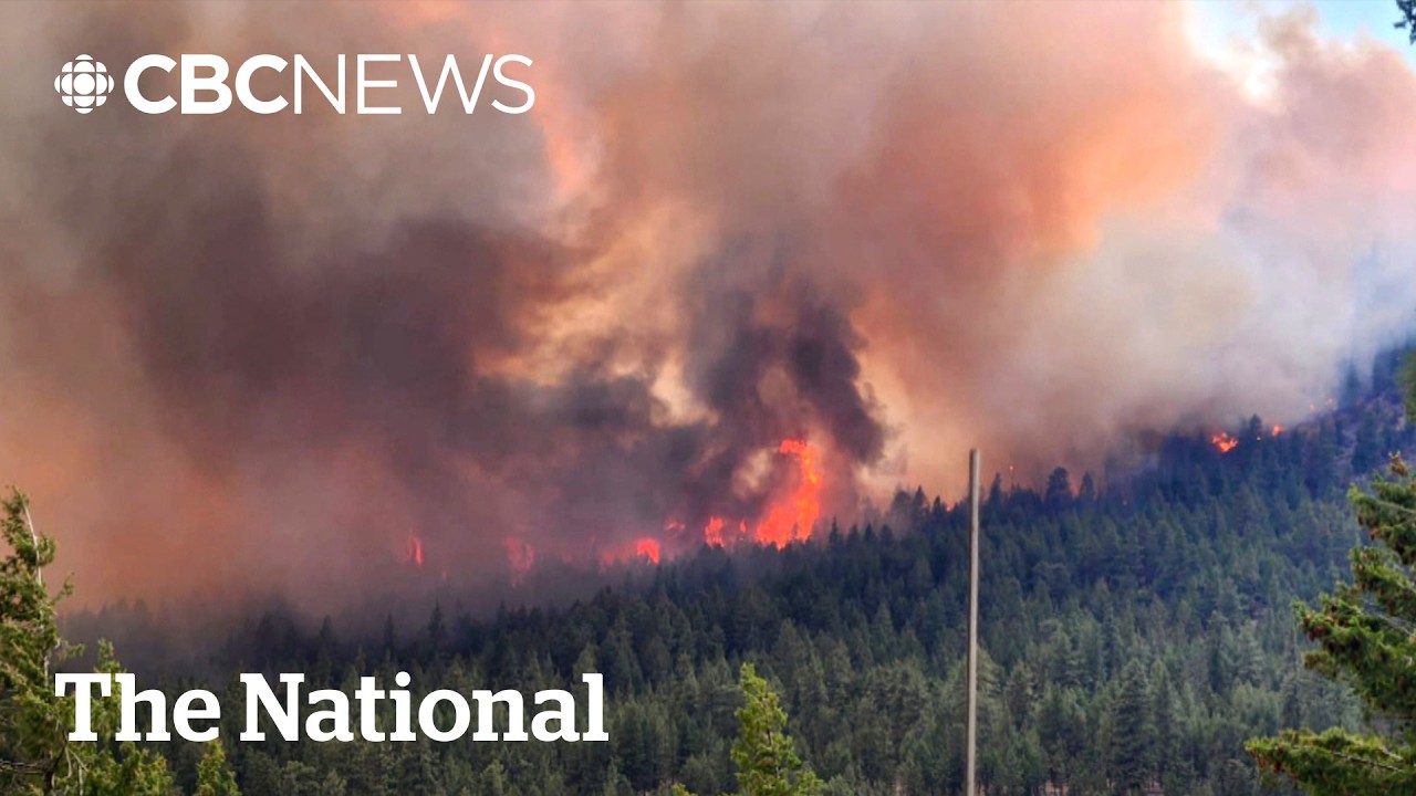 B.C. wildfire smoke choking out summer tourism economy