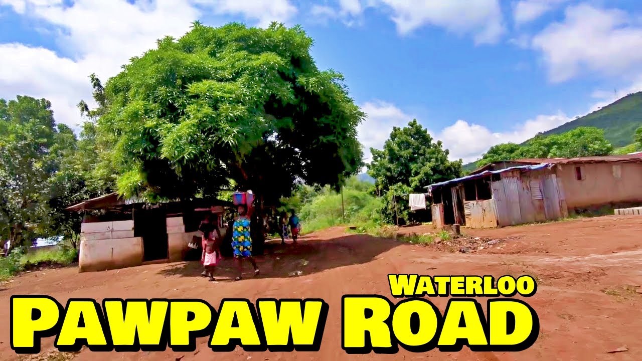 Welcome To PAWPAW ROAD - WATERLOO - 🇸🇱 Roadtrip 2023 - Explore With Triple-A