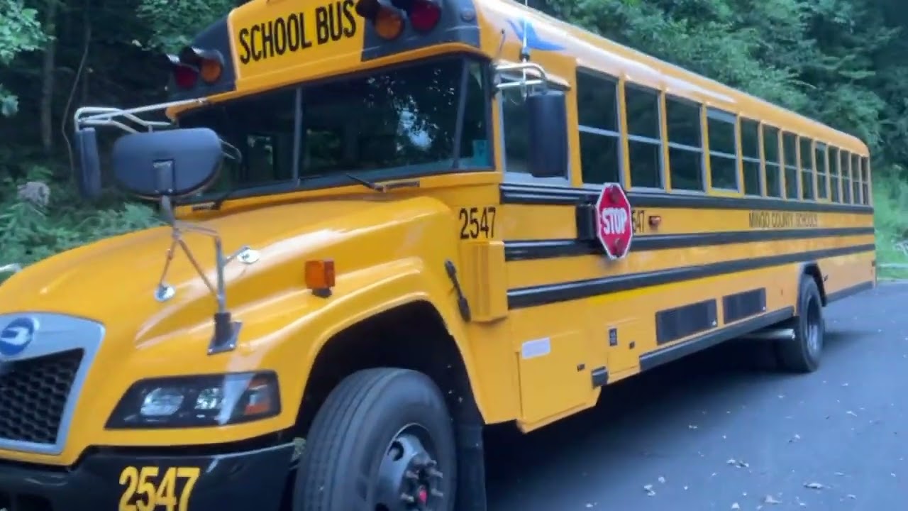 2025 brand new bluebird vision school buses (2549)(2547)(2545)(2548)