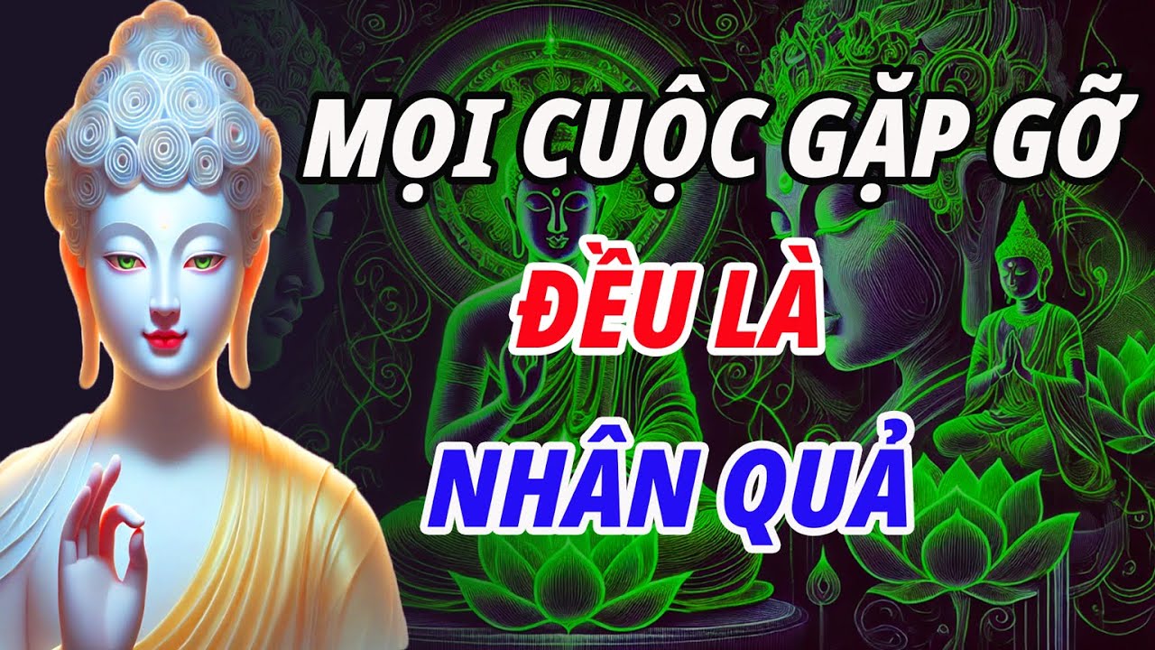 Luật Nhân Quả Và Nhân Duyên: Không Ai Bước Vào Đời Ta Một Cách Ngẫu Nhiên  | PHẬT PHÁP TỪ QUANG