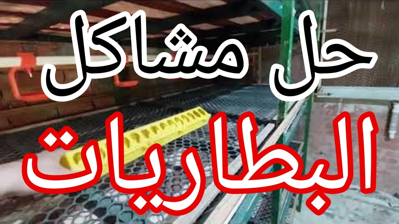 التربية فى البطاريات بدون مشاكل #طريقة حل مشاكل البطاريات