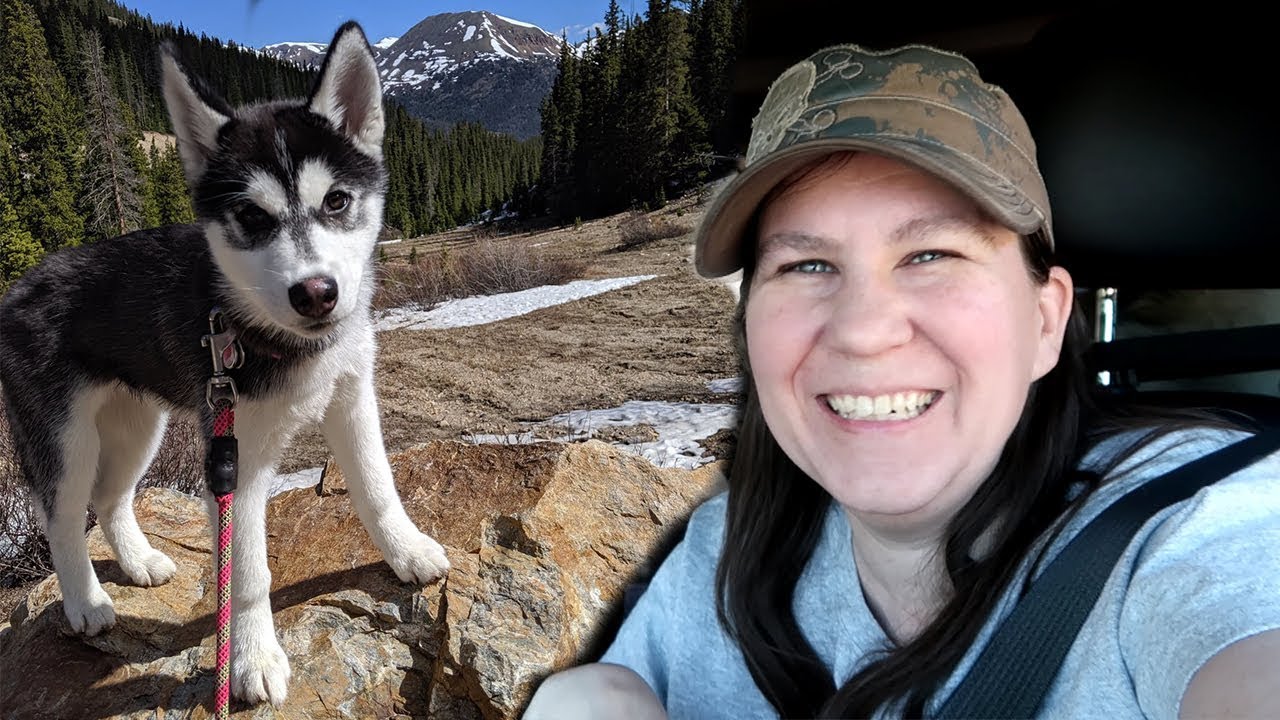 We Found SNOW for the Husky Puppy | Travel Vlog