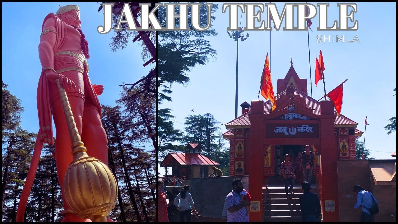 Walking the Highest Point in Shimla JAKHU HANUMAN TEMPLE #hanumantemple #jakhutemple #touristmustsee