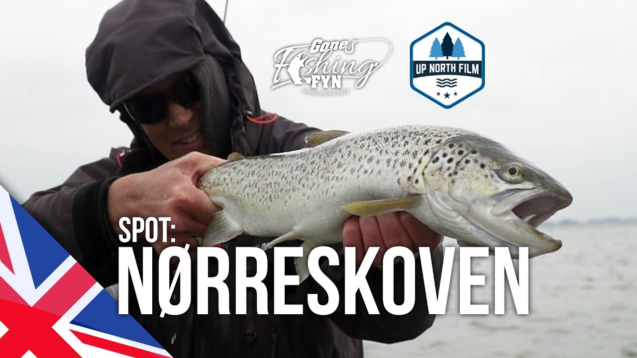 Spotguide: Nørreskoven // Gone Fishing TV