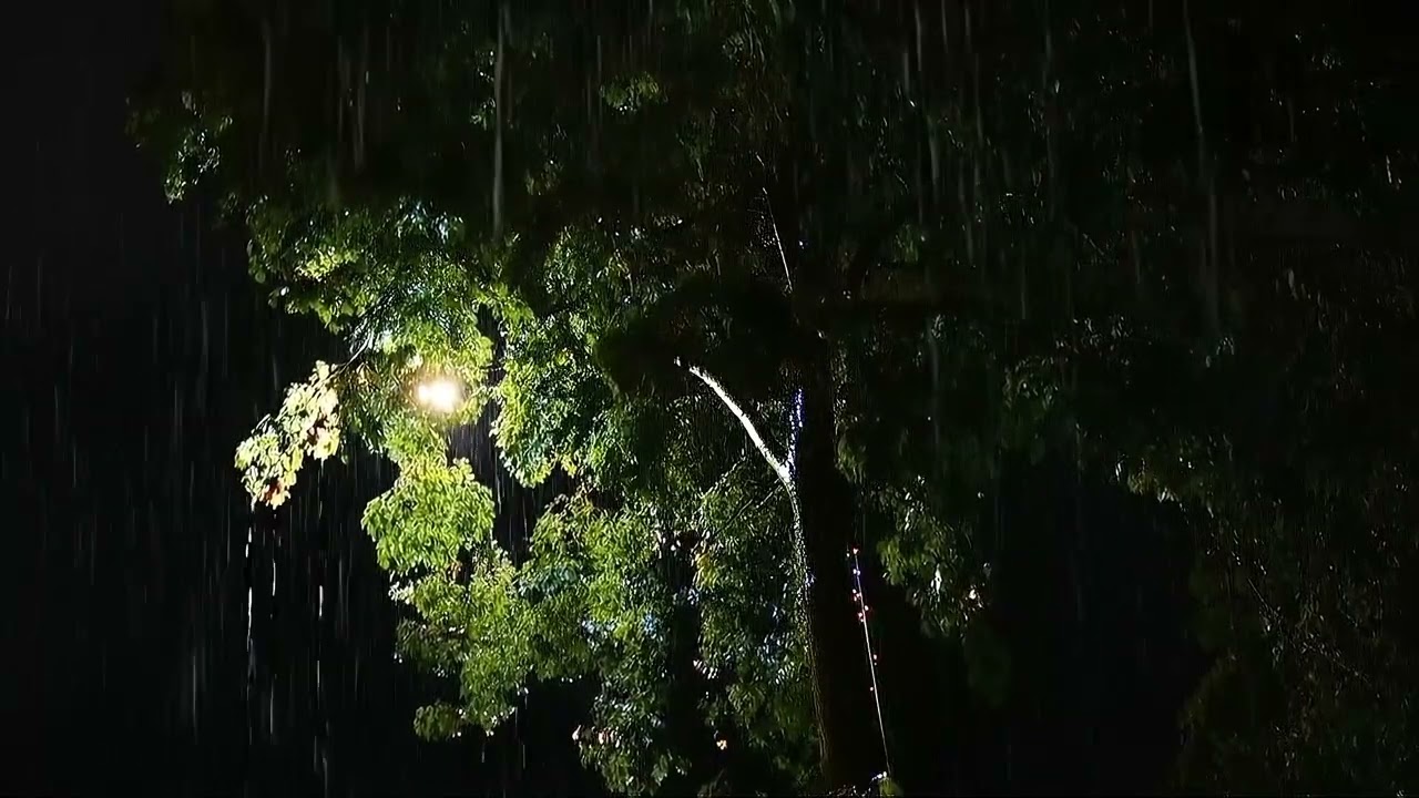 Heavy Rain and Thunder Sounds for Sleeping | Natural Thunderstorm for Deep Sleep