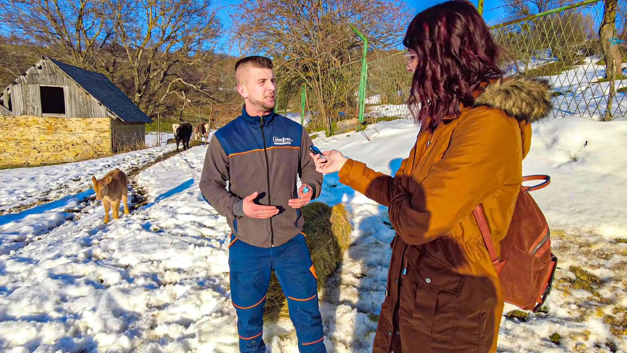 Stado je 18 godina zajedno, brane se i od vuka i medvjeda jer ko jedno dišu