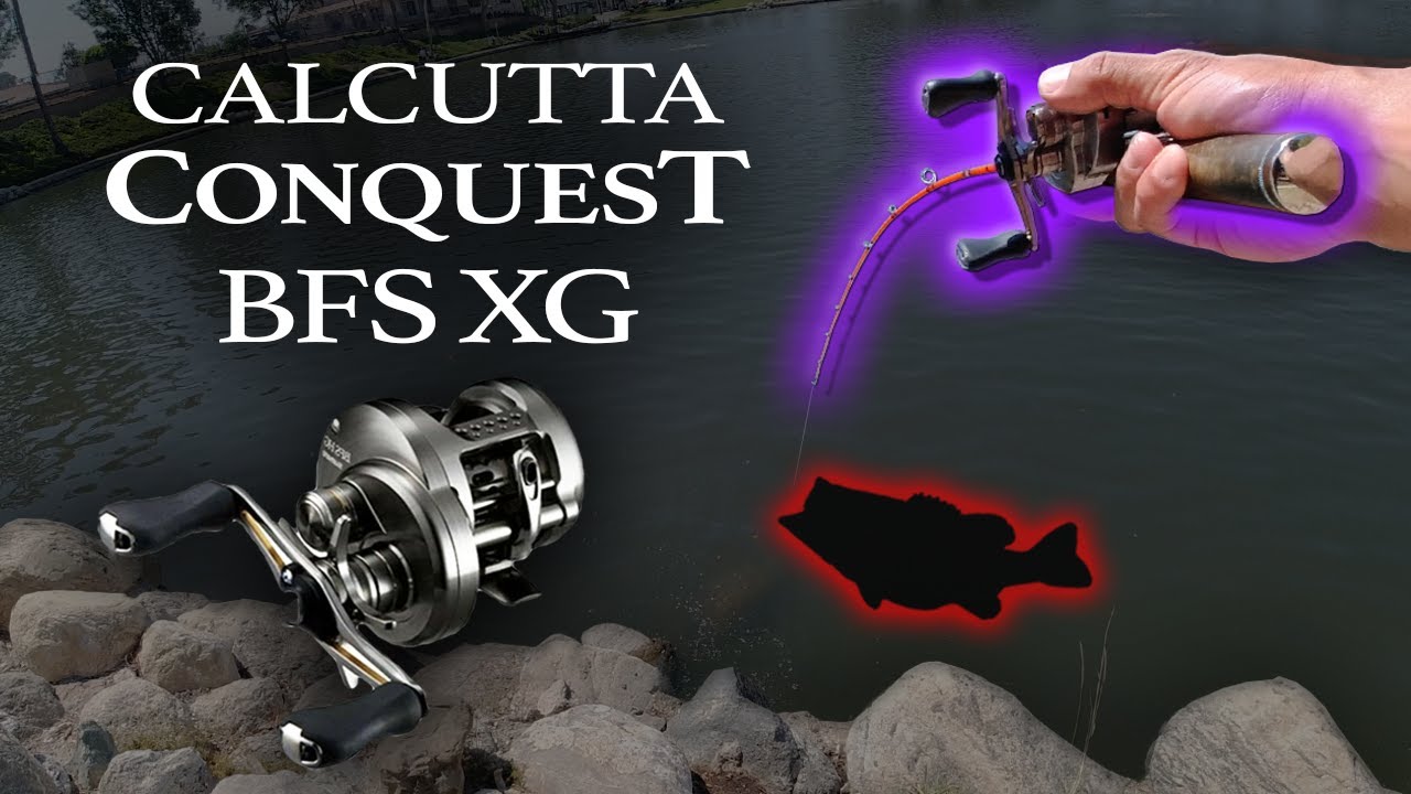 The New Calcutta Conquest BFS Reel Rips Lips!