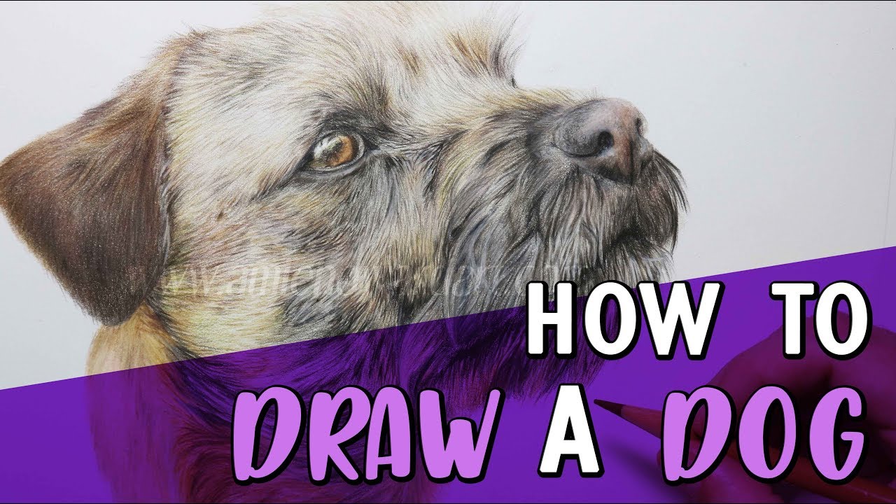HOW TO DRAW A DOG | Coloured Pencil Tutorial